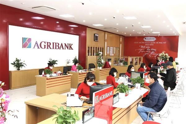 Agribank là ngân hàng thương mại duy nhất ở Việt Nam có 100% vốn điều lệ do Nhà nước nắm giữ